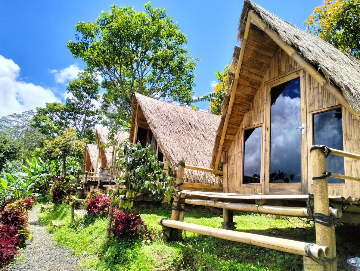 Wanagiri Campsite Gitgit Kültér fotó