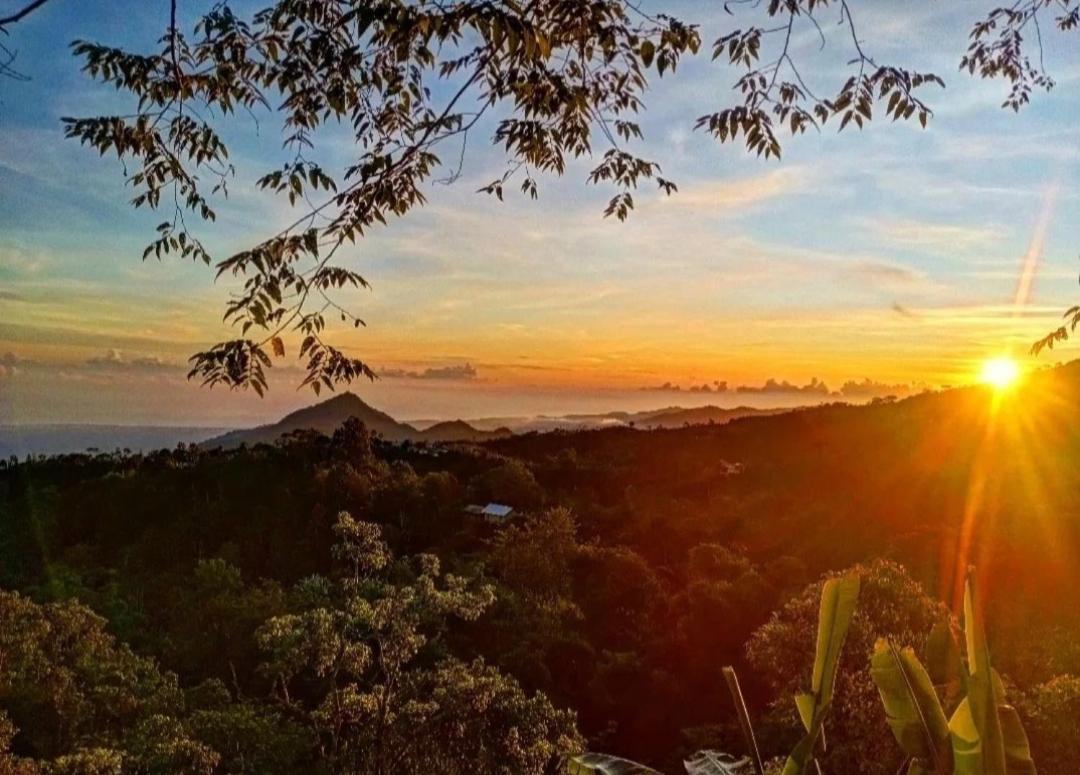 Wanagiri Campsite Gitgit Kültér fotó