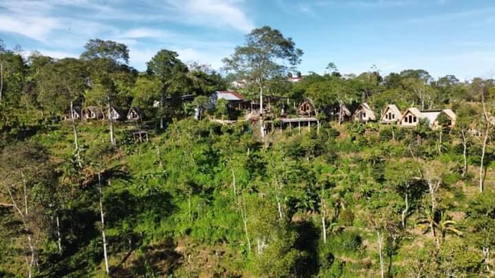 Wanagiri Campsite Gitgit Kültér fotó