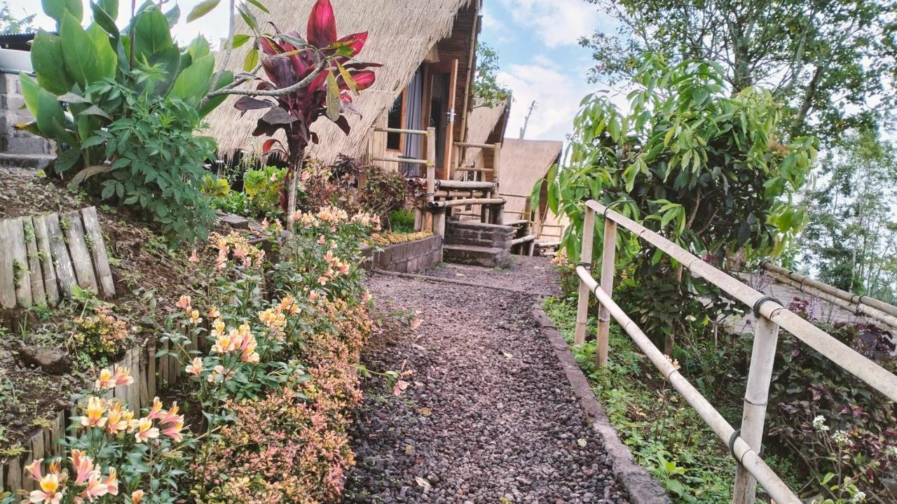 Wanagiri Campsite Gitgit Kültér fotó